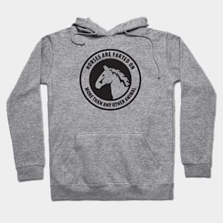 Horses Are Farted On More Than Any Other Animal Hoodie